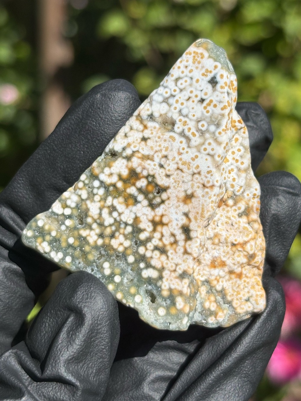 Ocean Jasper Crystal Freeform - Polished Sea Jasper - Orbicular Jasper